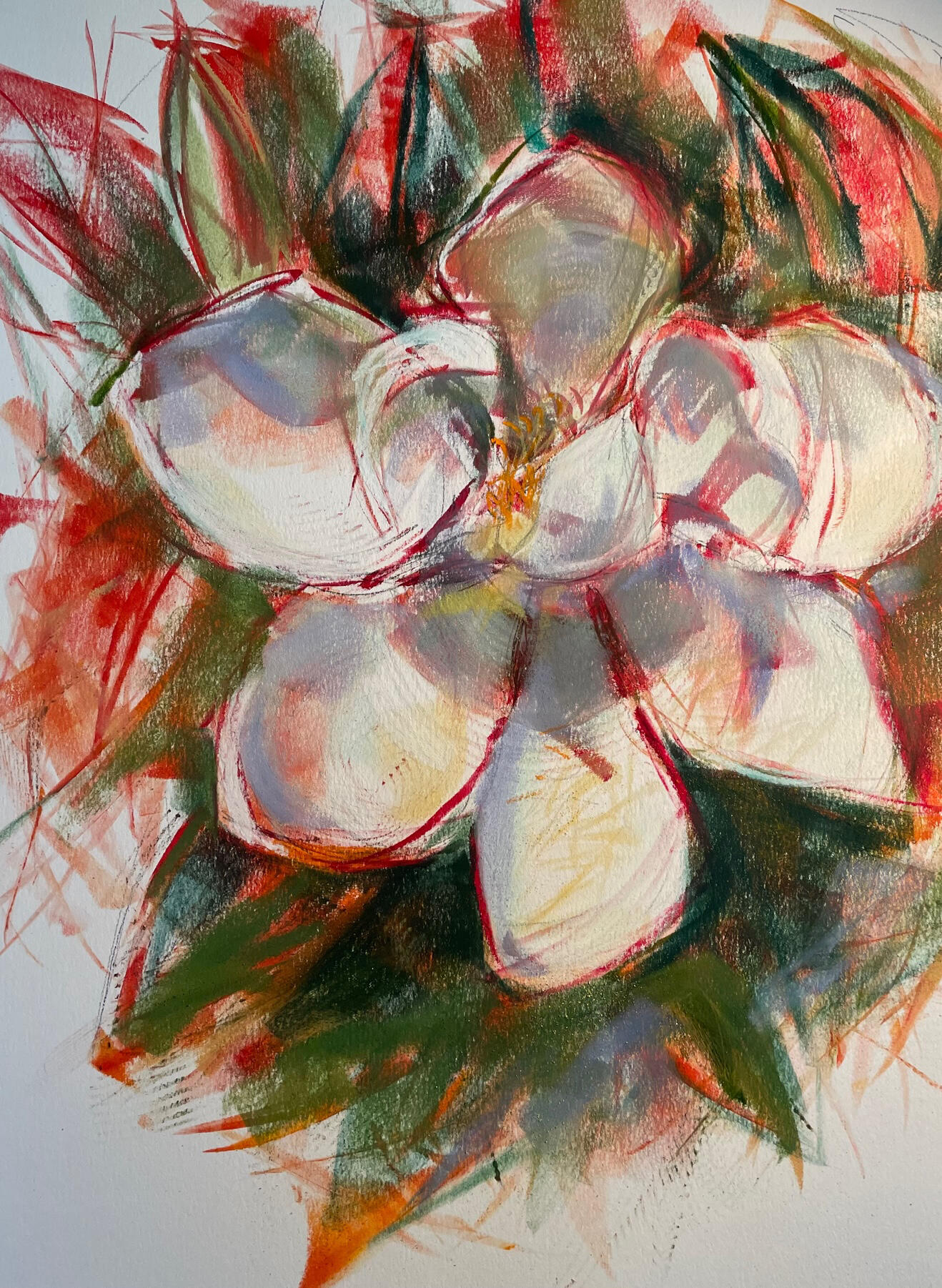 Magnolia Magnolia