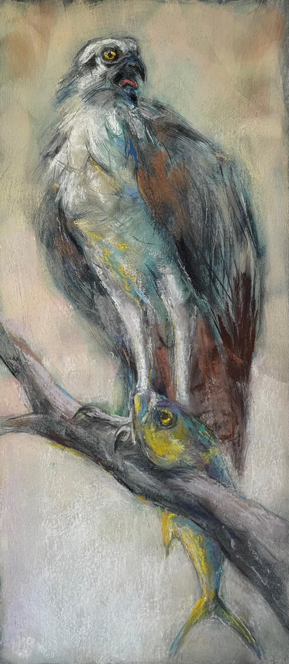Osprey