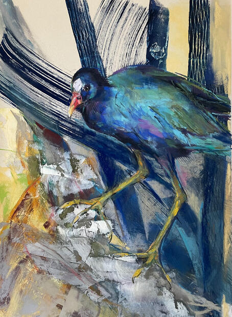 Purple Gallinule Purple Gallinule